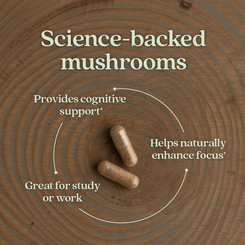 New Chapter Lion's Mane + Reishi Mushroom - LifeShield Mind Force for Mental Clarity, Vegan, 60 ct