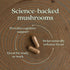 New Chapter Lion's Mane + Reishi Mushroom - LifeShield Mind Force for Mental Clarity, Vegan, 60 ct