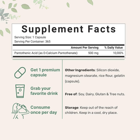 Micro Ingredients Pantothenic Acid Vitamin B5 Supplement, Vitamin B5 500mg Per Count, 365 Capsules (1 Year Supply), B-Complex Vitamin, Support Energy Production and Nervous System, Non-GMO