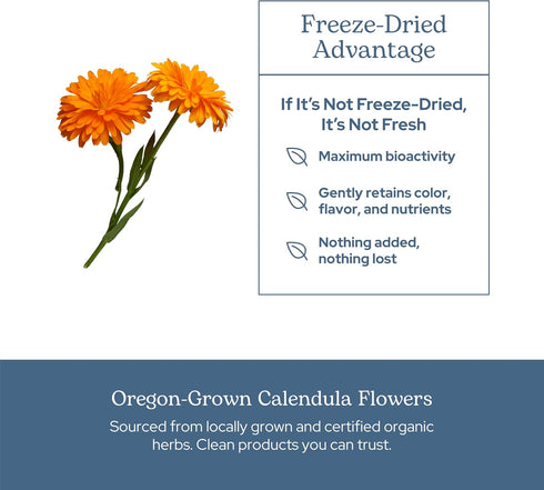 Immune (90 250 Eclectic Herb - Freeze Dried Calendula Capsules | Support Supplement | Gut & Digestive Health | Natural