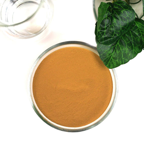 Rhassoul Ghassoul Clay Cosmetic Grade Powder - 100% Pure Natural for Skin Detox and DIY Clay Face Mask (1 LB)