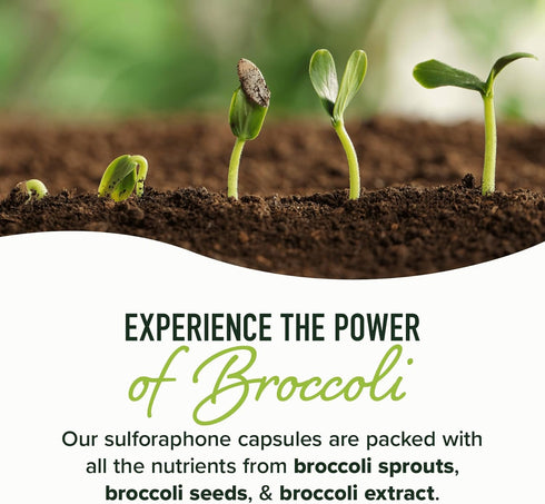 50MG Sulforaphane Supplement from Broccoli Sprouts, NRF2 Activation, Vegan, 60ct