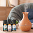 CAKKI Summer Essential Oils Set for Diffusers, 6X10ml with Coconut Passion, Plumeria, Pina Colada, Aqua Kiss