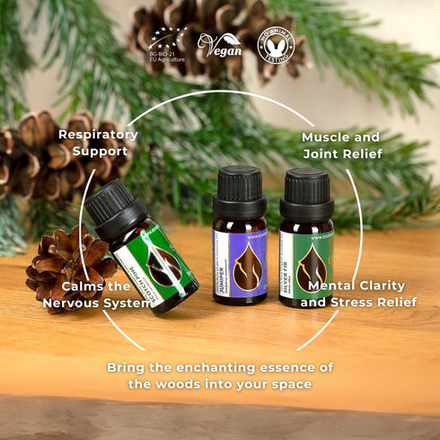 Set 100% (3pcs 10ml) Forest Magic - Organic Essential Oils - Scotch Pine + Juniper + Silver Fir - Pure and Natural