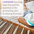 Garden of Life Essential Oil, Lavender 30 ml, USDA Organic & Pure for Diffuser, Aromatherapy, Calming, 1 Fl Oz