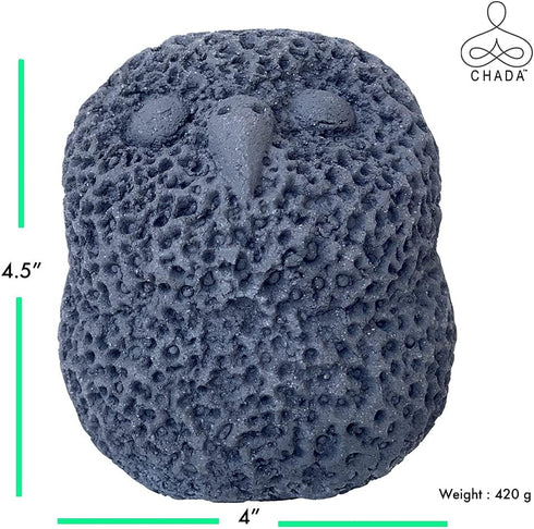 Chada Magic Owl Activated Charcoal Decorative Deodorizer, Natural Room Odor Eliminator, 420g