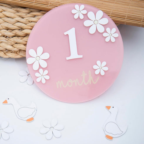 Troxueo 3D 1-12 Acrylic Daisy Baby Milestone Cards, Baby Milestone Signs, Months Interchangeable Monthly Milestone