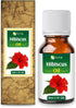 Hibiscus Oil (Hibiscus Sabdariffa L) - 100% Natural Uncut Undiluted Pure Therapeutic Essential Oil, 30ML