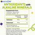 Alkazone Balance Your pH, Antioxidants Alkaline Mineral Drops, 1.25 Oz Pack