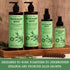 PHARM TO TABLE Rosemary & Mint Shampoo, 480ml