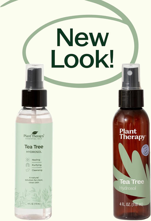 Plant Therapy Tea Tree (Melaleuca) Hydrosol, 4 oz, by-Product of Essential Oils