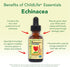 CHILDLIFE ESSENTIALS Echinacea for Kids - Natural Orange - Kids Echinacea Drops, 1 Fl Oz (Pack of 3) - Alcohol Free