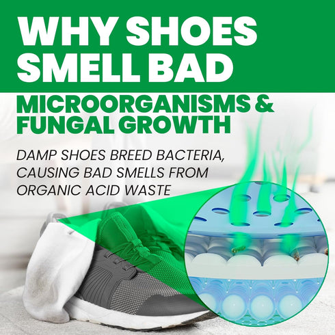 Uncle Todd's Odor Stomp Shoe Deodorizer - Proven Enzyme Formula for Odor Elimination in Footwear