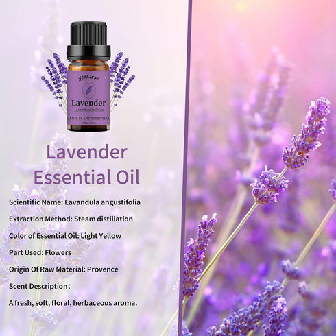 Organic Lavender Eucalyptus Essential Oil - Pure Plant Oil for Diffusers & Skin Care