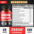 Premium Berberine Supplement with Ceylon, Ashwagandha, Turmeric, Milk Thistle, Elderberry & Black Pepper - Supports Immune System, Cardiovascular & Gastrointestinal - 120 Capsules