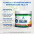 BioTrust Ageless Muscle Builder - Creatine HMB Powder with Vitamin D3 & Betaine, 30 Servings