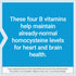 Life Extension Homocysteine Resist, Heart & Brain Cognitive Health Support Supplement, 60 Vegetarian Capsules