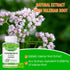 Organic Valerian Root Gummies, 2000mg Herbal Supplement for Relaxation & Mood Support, Sleep Gummies Without Melatonin,