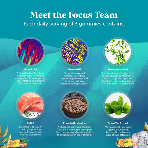 Vegan Brain Focus Gummies for Kids, 40 Count - Kids Focus Supplement with Phosphatidylserine & More