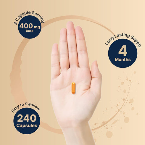 NatureBell Vitamin B2 Riboflavin 400mg, 240 Capsules, Essential Daily B Vitamin for Energy & Skin Health