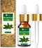 Salvia Bay Laurel Leaf Oil (Laurus Nobilis) - 100% Pure & Natural Undiluted Essential Oil, 30ml