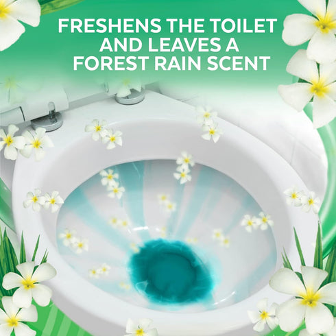 Lysol Toilet Bowl Cleaner Gel ¦ Cleaning and Disinfecting, Stain Removal, Forest Rain Scent, 24oz (Pack of 2)
