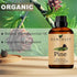Pine Essential Oils Organic, 120ML 100% Pure and Natural Pine Essential Oil with Dropper for Aromatherapy Diffuser - Pine/4 Fl Oz