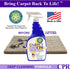 2-in-1 Spot & Stain Remover, 32oz, Eliminates Stains & Odors on Carpet, Rugs, & Car Mats