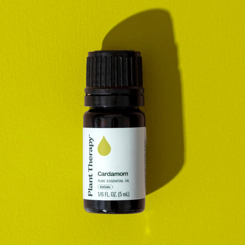 Plant Therapy Cardamom Essential Oil – 5 mL (1/6 oz) 100% Pure, Undiluted, Therapeutic Grade