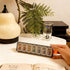 Wopanxye 7 7 Weekly Pill Organizer, Days Portable Travel Pill Box, Compartment Medicine Planner Dispenser, Every Day