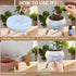 Mor bou 7 2 10ml Morbou Essential Oil Diffuser Jellyfish Mist Dancing with Music Aromatherapy, Colorful Lights Hotel