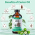 MuseLuxe 40 Bottle(8oz),Cotton Pack Pcs Castor Oil Patches with Castor Oil Organic Cold Pressed Unrefined Glass Caster