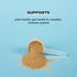 Ancient Nutrition Protein Powder - Chocolate Bone Broth, 20g Protein Per Serving, Gluten Free Supplement