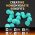 Creatine Monohydrate Gummies, 5g Per Serving, Sugar Free, Vegan, Blueberry Flavor, 120 Count