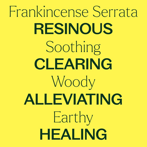 Plant Therapy Organic Frankincense Serrata Essential Oil, 100% Pure, USDA Certified Organic, Natural Aromatherapy,