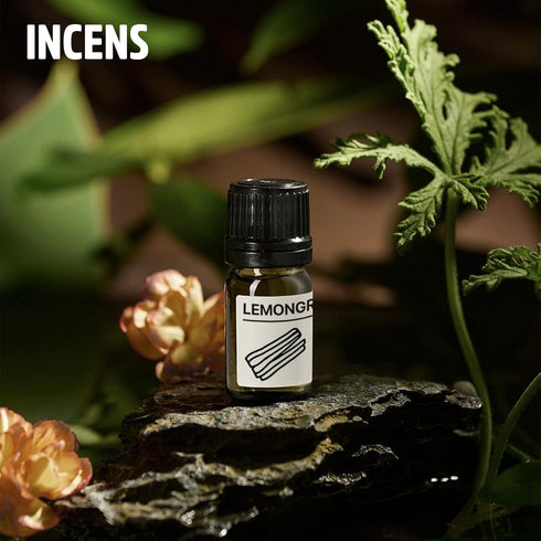 Essential Oils Set, Chiang Mai Series, 6 Pure Oils Kit - Cinnamon, Sandalwood, Frankincense, Peppermint, 10ML
