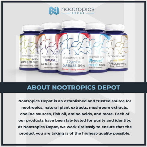 Nootropics Depot Rhodiola Rosea Capsules | 500mg | 60 Count | 3% Rosavins | Adaptogen Herb | Supports Brain Health*