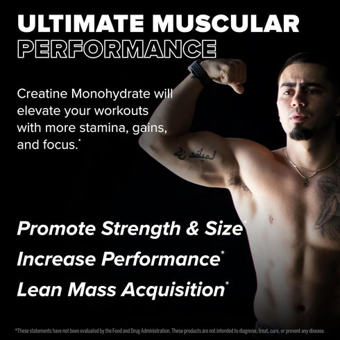 FINAFLEX Pure CREATINE, Unflavored - 5.3 oz, 100% Pure Micronized Creatine Monohydrate, 30 Servings