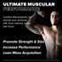 FINAFLEX Pure CREATINE, Unflavored - 5.3 oz, 100% Pure Micronized Creatine Monohydrate, 30 Servings
