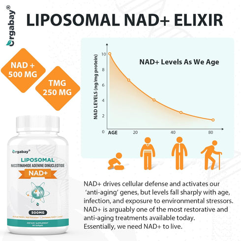 Liposomal NAD+ Supplement - 500 mg, High Absorption with TMG 250 mg for Cellular Energy & Healthy Aging