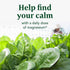 MegaFood Magnesium - Supports Heart & Nervous System - Vegan, Gluten-Free, Non-GMO Magnesium Supplement with Fermented