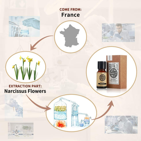 Narcissus Essential Oil Natural Organic Pure Narcissus Oil for Skin Body Hair Care,Diffuser, Candle,Soap,Making, DIY,Massage Aroma 0.34 Fl Oz (10ml)