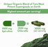 Chlorella Spirulina Powder Capsules - Organic 3000 mg Purest Blue Green Algae, Best Natural Detox Superfood