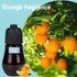Aromatherapy Essential Oil Set - 3-Piece Essential Oil Set in Three Flavors: Eucalyptus, Lemongrass, and Orange