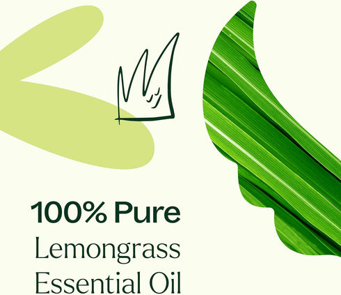 Plant Therapy 100% Pure Lemongrass Essential Oil, Natural Aromatherapy for Diffuser and Skin, 30 mL (1 oz)