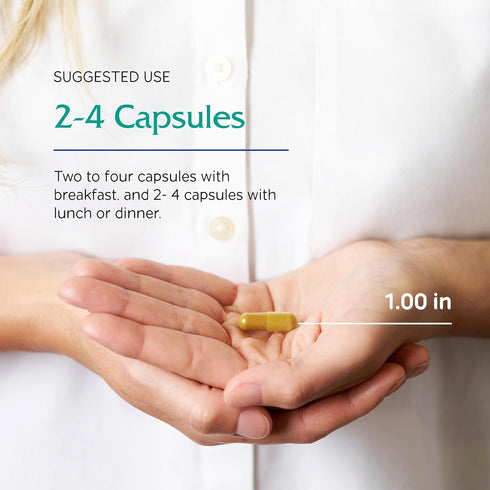 Vitanica Metabolic Manager - 120 Capsules - Herbal Supplement for Healthy Metabolic Response with Vitamin D