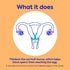 Over-the-Counter 28 Count Opill, Daily Birth Control Pills, Progestin-Only Oral Contraceptive, FDA-Approved