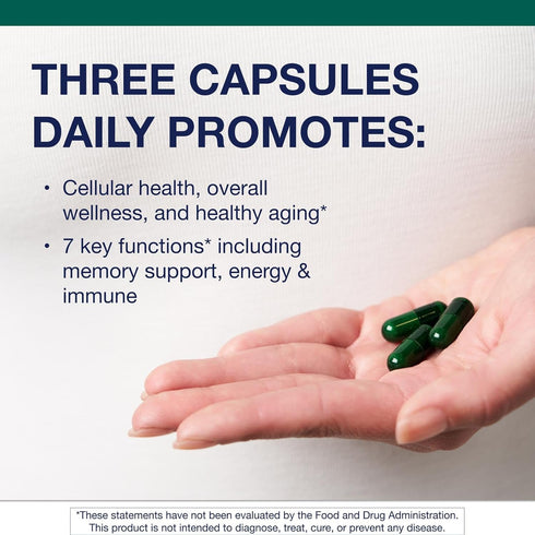 Metagenics PhytoMulti Multivitamin, Supports Healthy Aging & Overall Wellness, 60 Capsules, For Men & Women