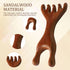 panthra Massage Comb,Wooden Scalp Massager,Sandalwood Massage Comb for Stress Relax,Suitable for Scalp, Eyes, Face