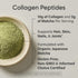 Sports Research Premium Collagen Peptides Powder with Organic Matcha Green Tea - Gluten Free Protein Supplement